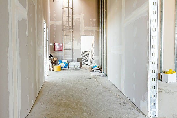 Best Mold Odor Removal Services  in Keenesburg, CO